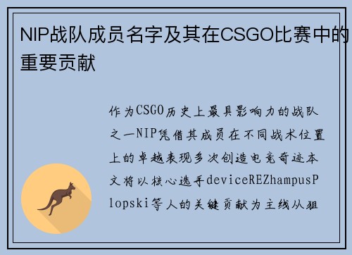 NIP战队成员名字及其在CSGO比赛中的重要贡献