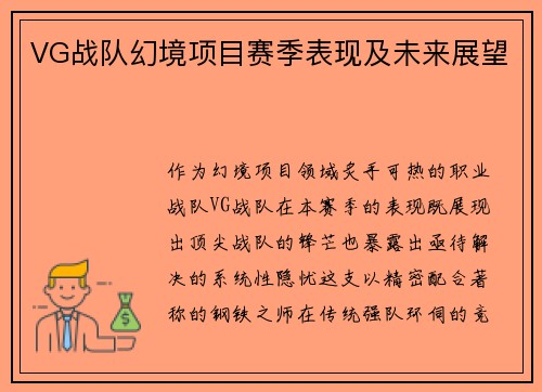 VG战队幻境项目赛季表现及未来展望