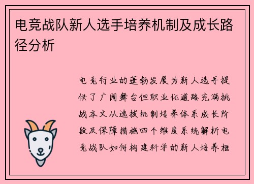 电竞战队新人选手培养机制及成长路径分析